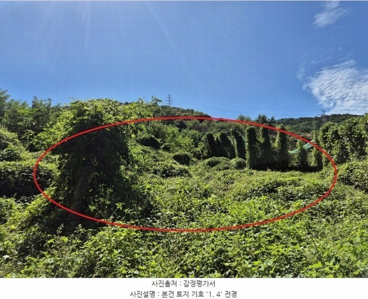 2024타경4796 충청남도 아산시 영인면 신봉리 236-9 임야 경매 이미지