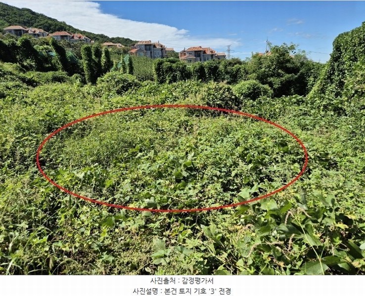 2024타경4796 충청남도 아산시 영인면 신봉리 236-9 임야 경매 이미지