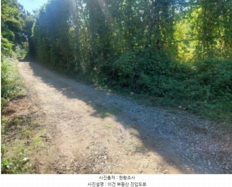 2024타경4796 충청남도 아산시 영인면 신봉리 236-9 임야 경매 이미지