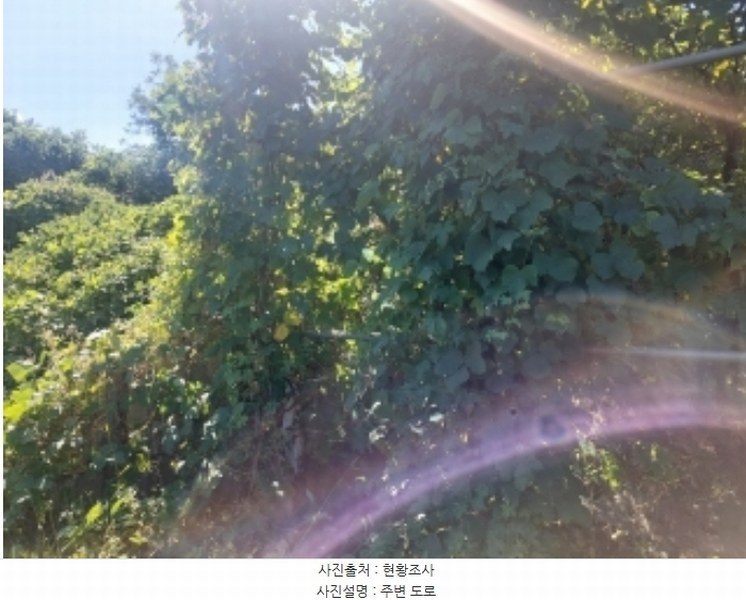 2024타경4796 충청남도 아산시 영인면 신봉리 236-9 임야 경매 이미지