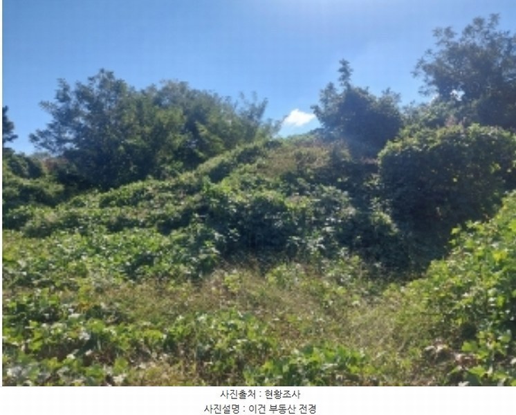 2024타경4796 충청남도 아산시 영인면 신봉리 236-9 임야 경매 이미지