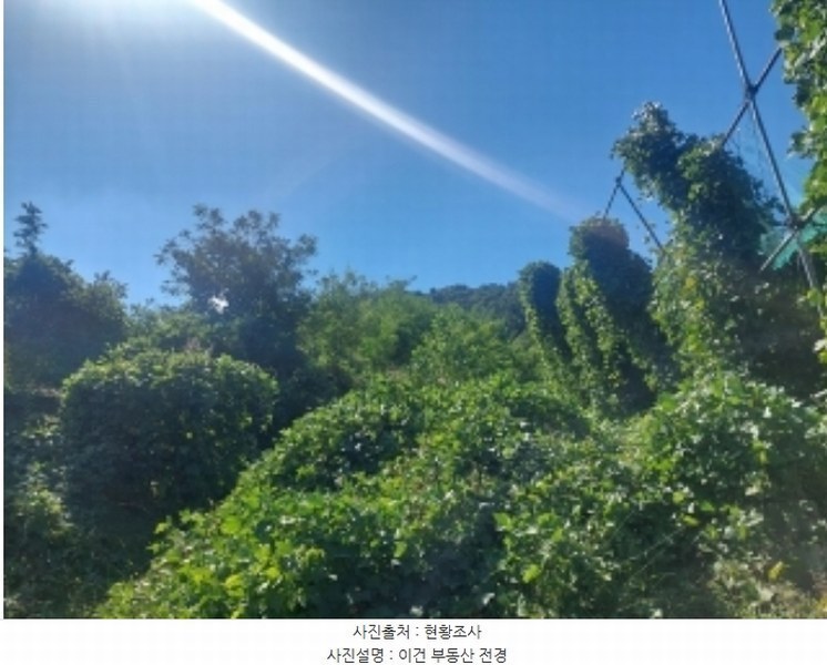 2024타경4796 충청남도 아산시 영인면 신봉리 236-9 임야 경매 이미지