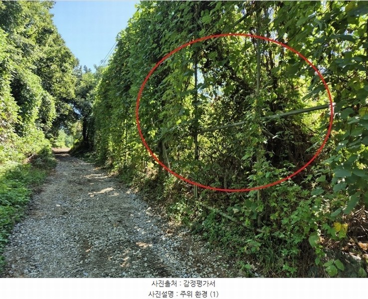 2024타경4796 충청남도 아산시 영인면 신봉리 236-9 임야 경매 이미지
