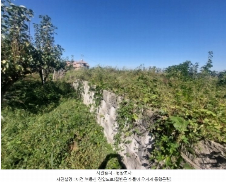 2024타경4796 충청남도 아산시 영인면 신봉리 236-9 임야 경매 이미지
