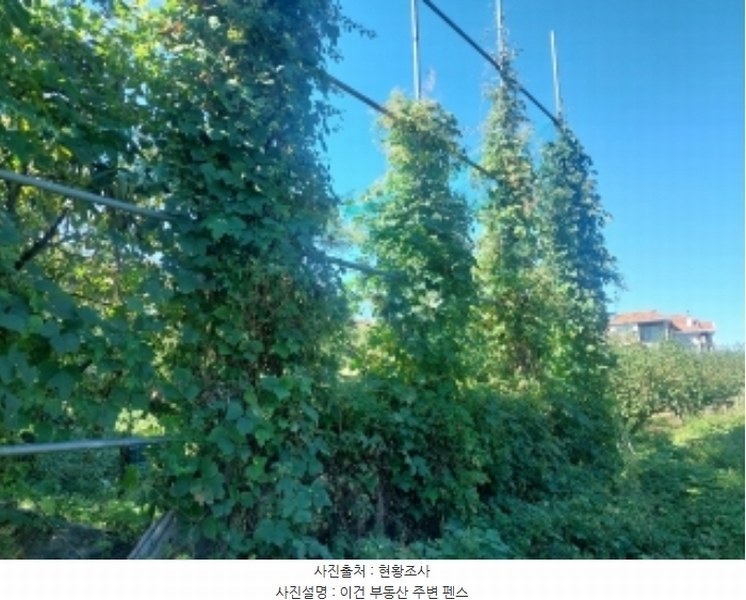 2024타경4796 충청남도 아산시 영인면 신봉리 236-9 임야 경매 이미지