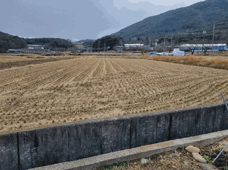 2025타경11341 울산광역시 울주군 두서면 차리 749-2 농지 경매 이미지