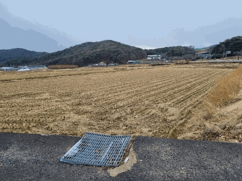 2025타경11341 울산광역시 울주군 두서면 차리 749-2 농지 경매 이미지