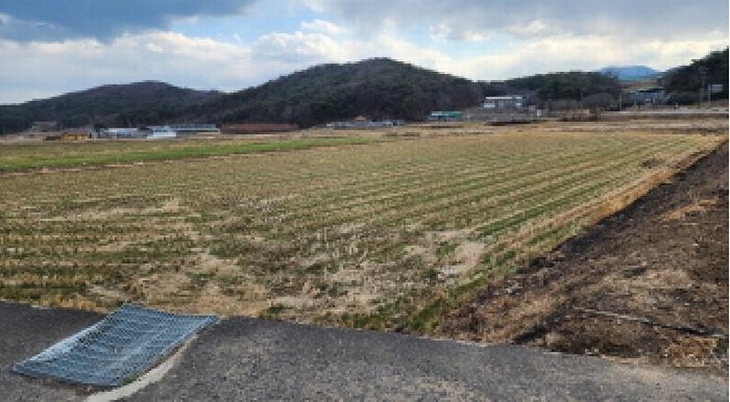 2025타경11341 울산광역시 울주군 두서면 차리 749-2 농지 경매 이미지