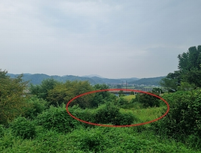 2024타경111205 충청남도 천안시 동남구 풍세면 가송리 79-9 농지 경매 이미지