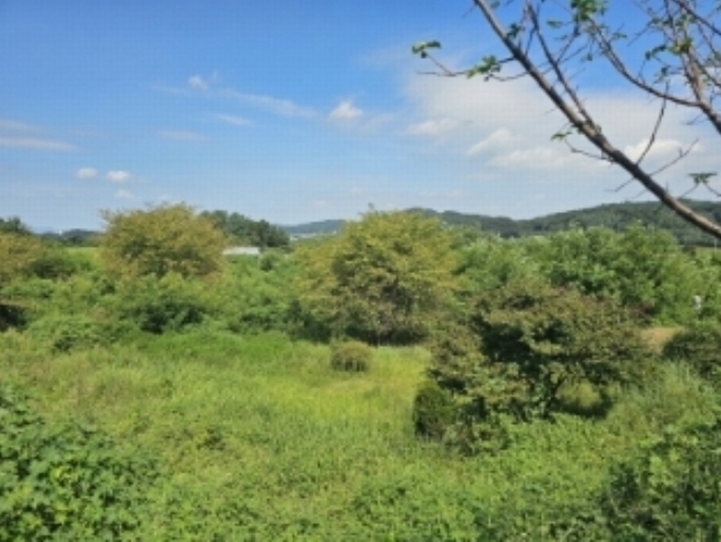 2024타경111205 충청남도 천안시 동남구 풍세면 가송리 79-9 농지 경매 이미지
