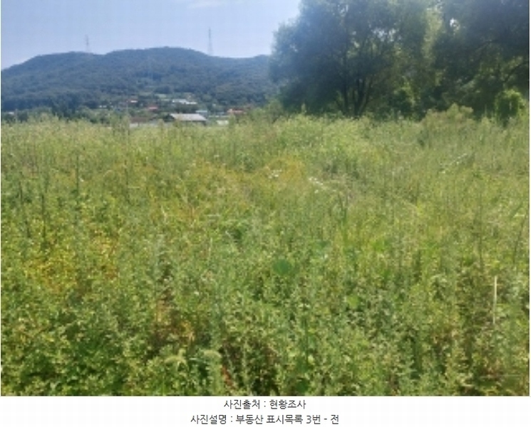 2024타경111793 충청남도 아산시 영인면 성내리 654-1 주택 경매 이미지