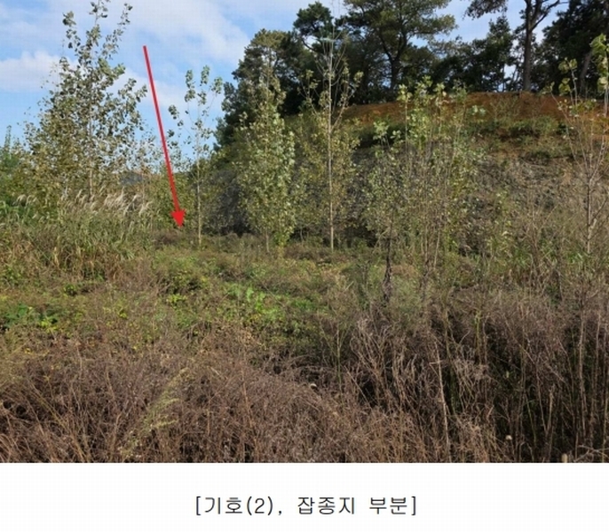 2024타경114167 충청남도 아산시 둔포면 송용리 48-82 잡종지 경매 이미지