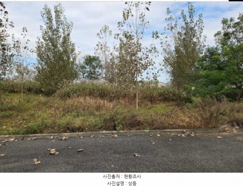 2024타경114167 충청남도 아산시 둔포면 송용리 48-82 잡종지 경매 이미지