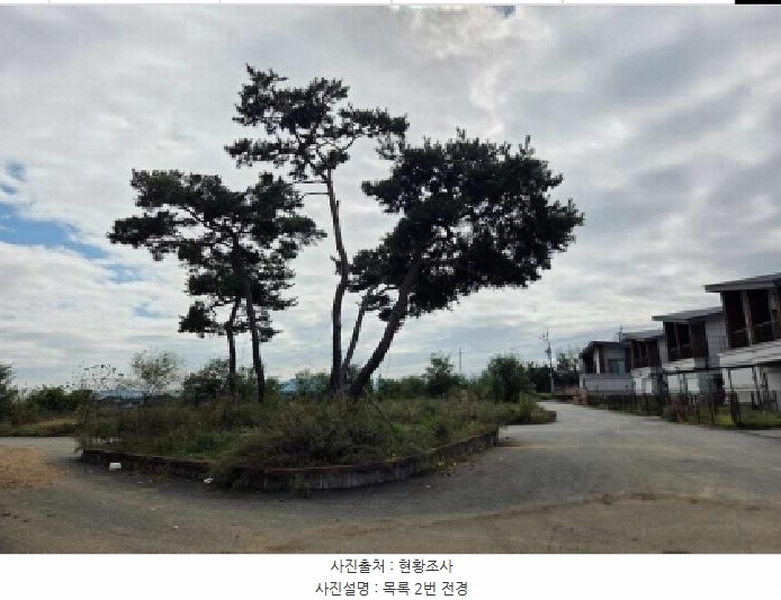 2024타경114167 충청남도 아산시 둔포면 송용리 48-82 잡종지 경매 이미지