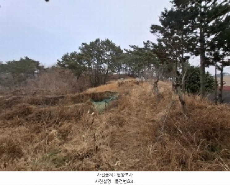 2025타경203 경상남도 사천시 서포면 비토리 산42-1 임야 경매 이미지