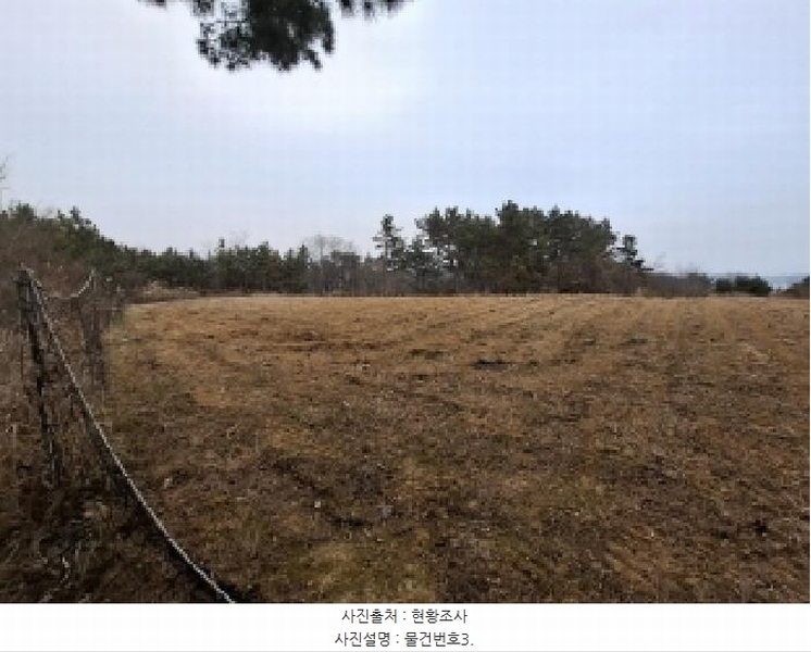 2025타경203 경상남도 사천시 서포면 비토리 산42-1 임야 경매 이미지