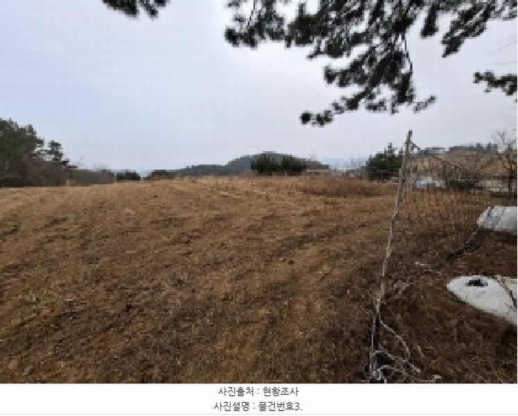 2025타경203 경상남도 사천시 서포면 비토리 산42-1 임야 경매 이미지