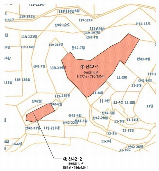 2025타경203 경상남도 사천시 서포면 비토리 산42-1 임야 경매 이미지