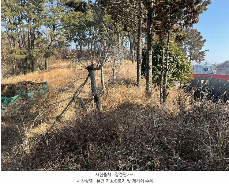 2025타경203 경상남도 사천시 서포면 비토리 산42-1 임야 경매 이미지