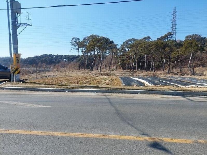 2025타경11260 충청남도 아산시 인주면 금성리 80-17 농지 경매 이미지