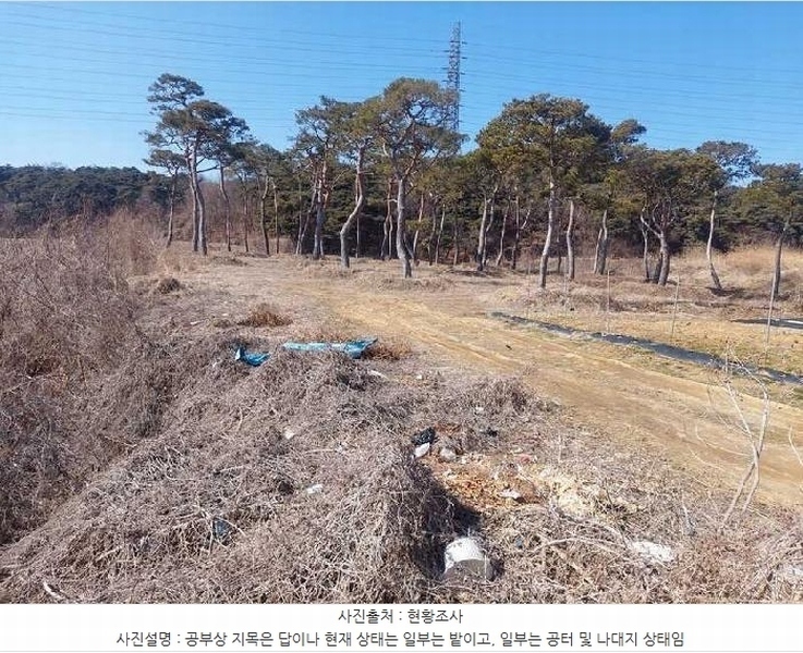 2025타경11260 충청남도 아산시 인주면 금성리 80-17 농지 경매 이미지