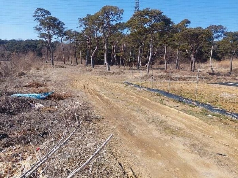 2025타경11260 충청남도 아산시 인주면 금성리 80-17 농지 경매 이미지
