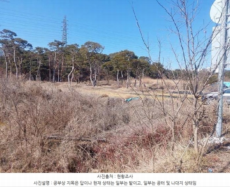 2025타경11260 충청남도 아산시 인주면 금성리 80-17 농지 경매 이미지