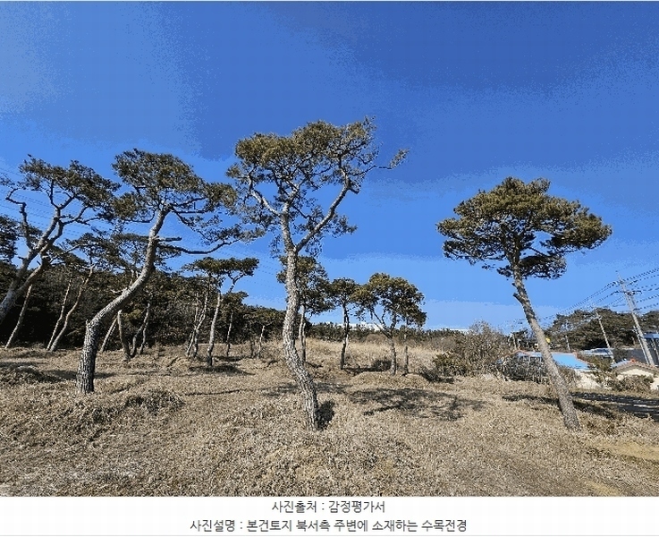 2025타경11260 충청남도 아산시 인주면 금성리 80-17 농지 경매 이미지
