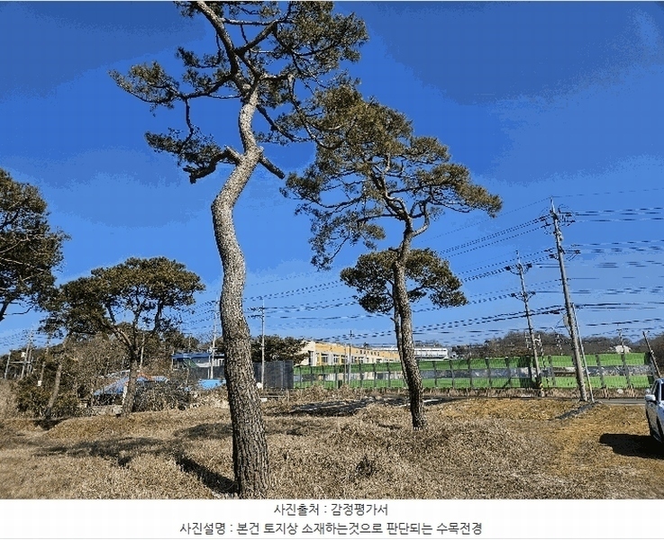 2025타경11260 충청남도 아산시 인주면 금성리 80-17 농지 경매 이미지