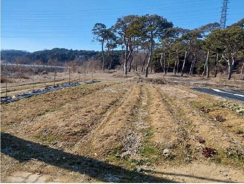 2025타경11260 충청남도 아산시 인주면 금성리 80-17 농지 경매 이미지