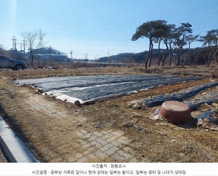 2025타경11260 충청남도 아산시 인주면 금성리 80-17 농지 경매 이미지