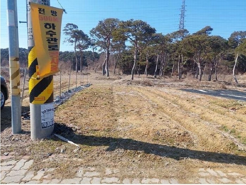 2025타경11260 충청남도 아산시 인주면 금성리 80-17 농지 경매 이미지
