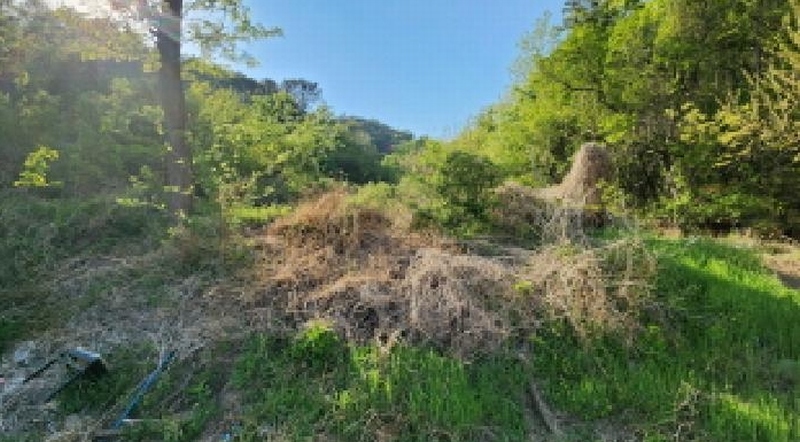 2025타경11576 울산광역시 울주군 언양읍 반천리 21-1 농지 경매 이미지