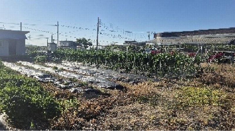2025타경11791 충청남도 천안시 서북구 입장면 시장리 27-1 과수원 경매 이미지
