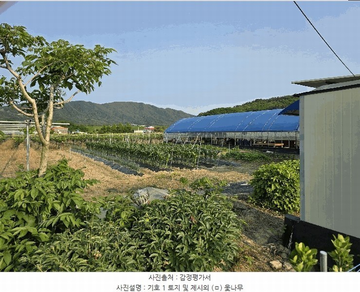 2025타경11791 충청남도 천안시 서북구 입장면 시장리 27-1 과수원 경매 이미지