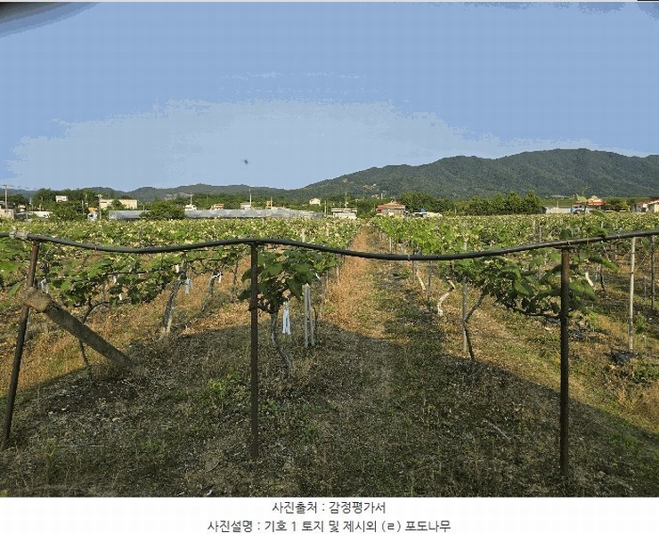 2025타경11791 충청남도 천안시 서북구 입장면 시장리 27-1 과수원 경매 이미지