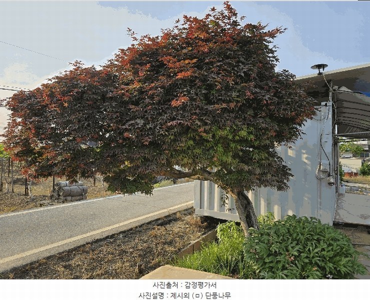 2025타경11791 충청남도 천안시 서북구 입장면 시장리 27-1 과수원 경매 이미지