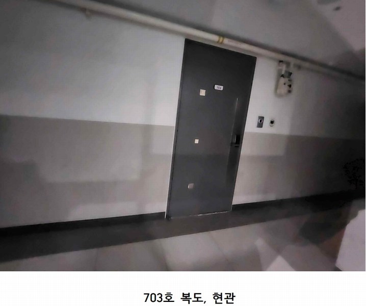 2025타경11352 충청남도 천안시 서북구 성정두정로 19, 리슈빌디에스 7층 703호 아파트[공급17평형] 경매 이미지
