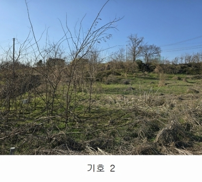 2025타경11383 충청남도 천안시 서북구 성환읍 성월리 86-1 과수원 경매 이미지