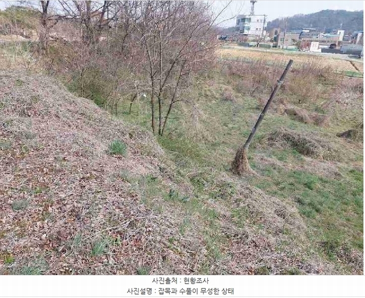 2025타경11383 충청남도 천안시 서북구 성환읍 성월리 86-1 과수원 경매 이미지