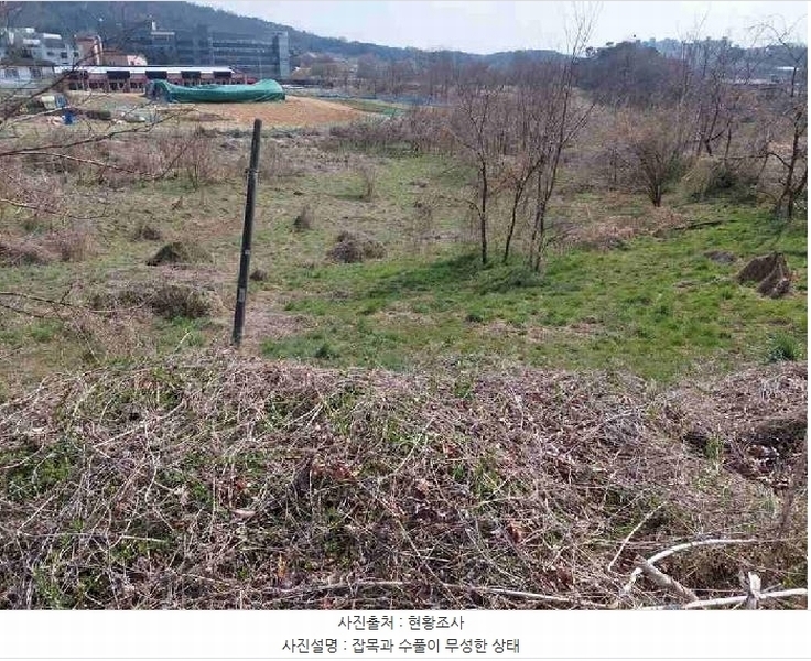 2025타경11383 충청남도 천안시 서북구 성환읍 성월리 86-1 과수원 경매 이미지