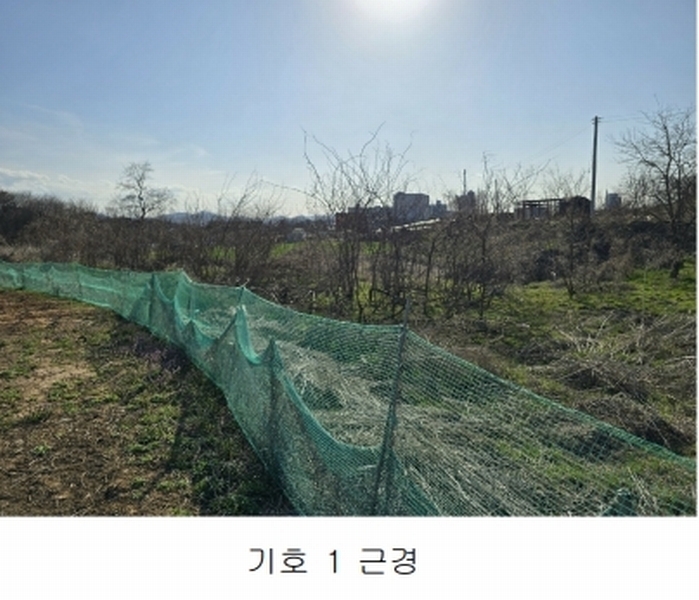 2025타경11383 충청남도 천안시 서북구 성환읍 성월리 86-1 과수원 경매 이미지