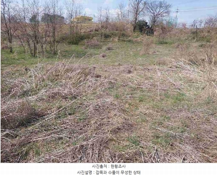 2025타경11383 충청남도 천안시 서북구 성환읍 성월리 86-1 과수원 경매 이미지