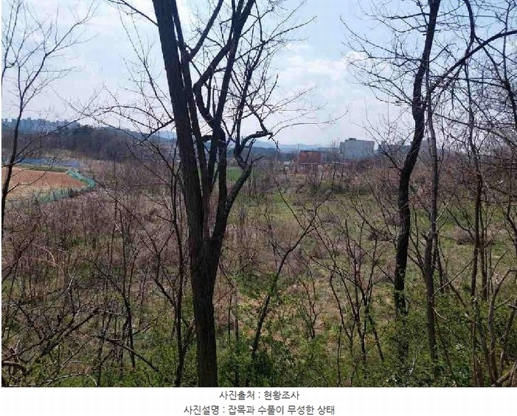 2025타경11383 충청남도 천안시 서북구 성환읍 성월리 86-1 과수원 경매 이미지