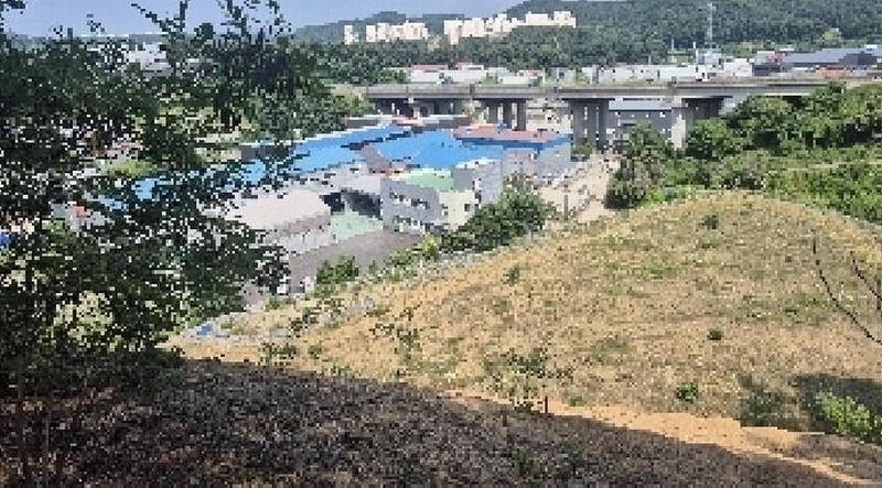 2025타경11809 충청남도 천안시 동남구 목천읍 삼성리 산51 임야 경매 이미지