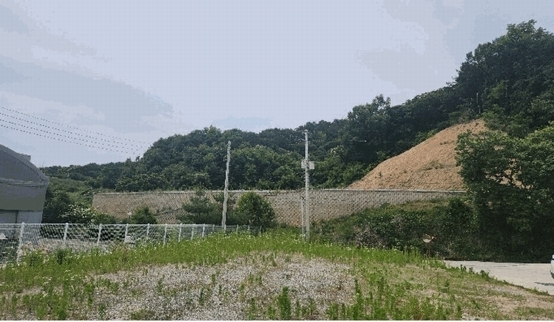 2025타경11809 충청남도 천안시 동남구 목천읍 삼성리 산51 임야 경매 이미지