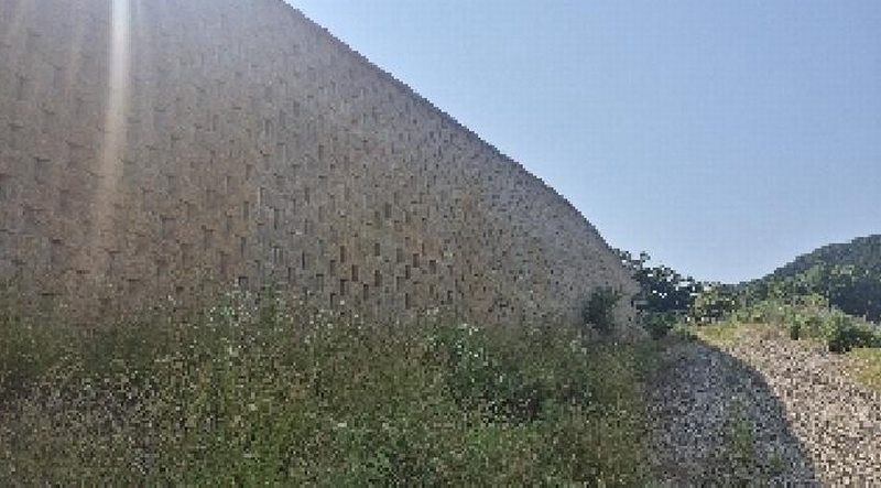 2025타경11809 충청남도 천안시 동남구 목천읍 삼성리 산51 임야 경매 이미지