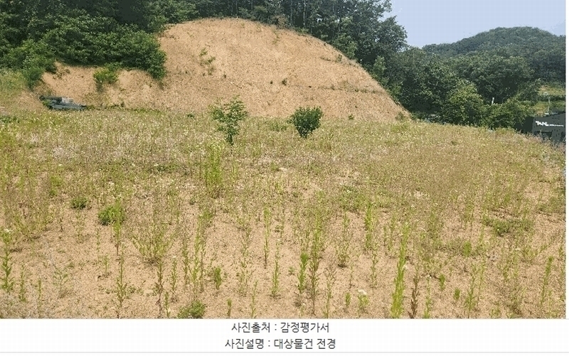 2025타경11809 충청남도 천안시 동남구 목천읍 삼성리 산51 임야 경매 이미지