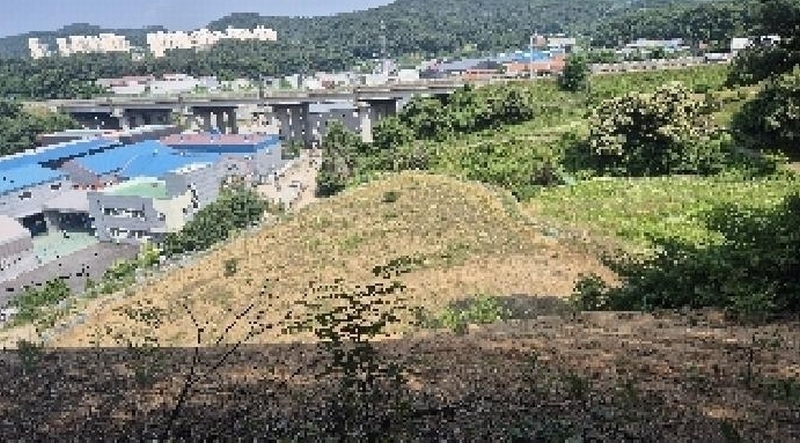 2025타경11809 충청남도 천안시 동남구 목천읍 삼성리 산51 임야 경매 이미지