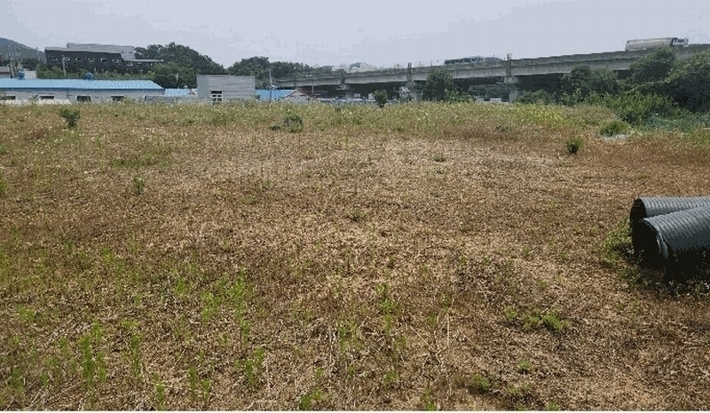 2025타경11809 충청남도 천안시 동남구 목천읍 삼성리 산51 임야 경매 이미지
